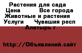 Растения для сада › Цена ­ 200 - Все города Животные и растения » Услуги   . Чувашия респ.,Алатырь г.